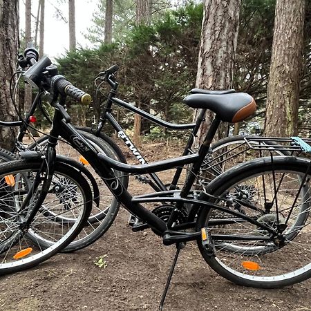 L Oree De La Pinede Hardelot Plage A 800 Metres De La Mer Sous Les Pins Eksteriør billede