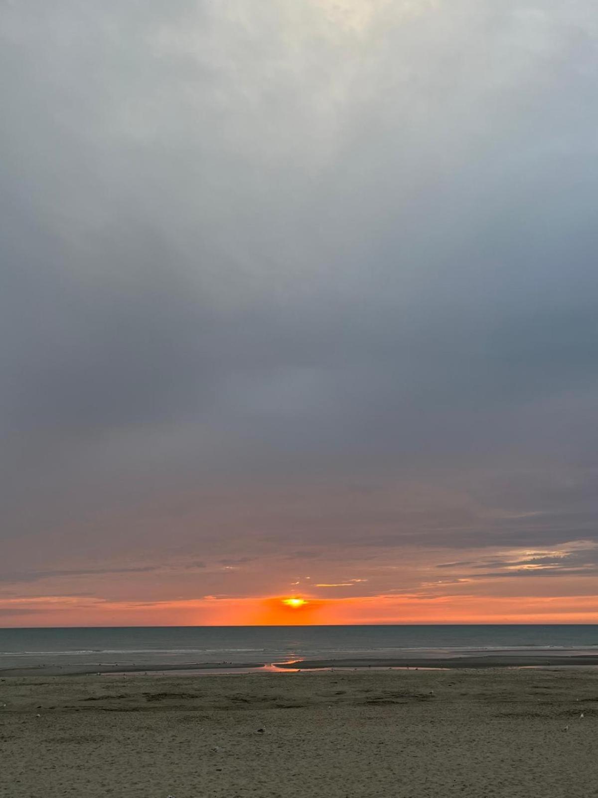 L Oree De La Pinede Hardelot Plage A 800 Metres De La Mer Sous Les Pins Eksteriør billede