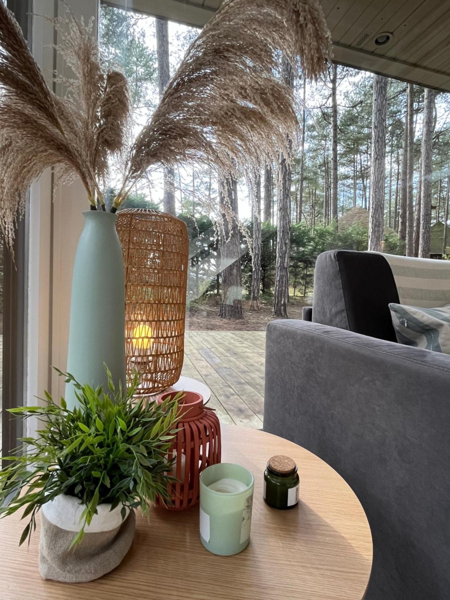 L Oree De La Pinede Hardelot Plage A 800 Metres De La Mer Sous Les Pins Eksteriør billede